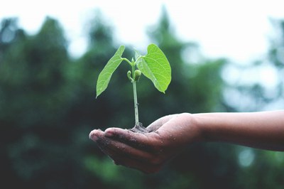 26.11.2020:  Der Lenkungskreis auf der 11. Sitzung des Aktionsbündnisses Klimaschutz